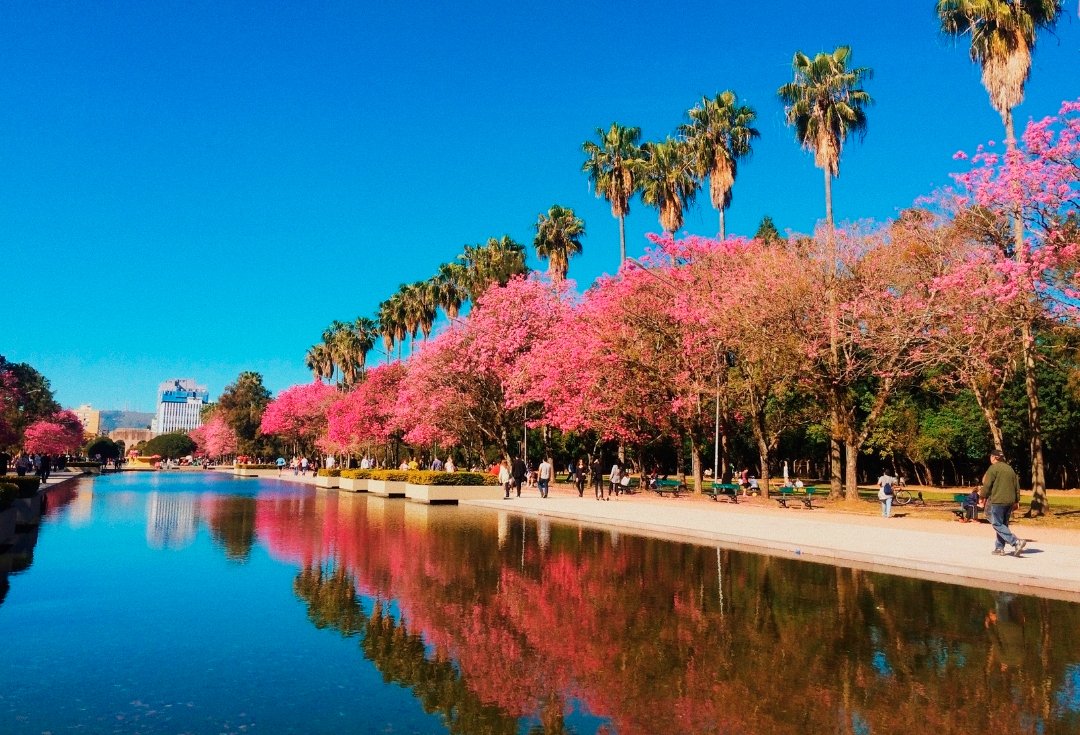 Imagem do post: Porto Alegre e os bairros que revelam como a cidade pensa