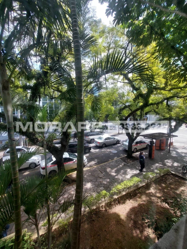 Foto de 
