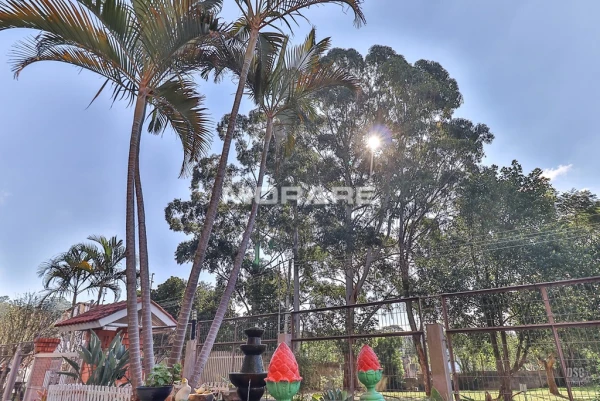 Foto de 
