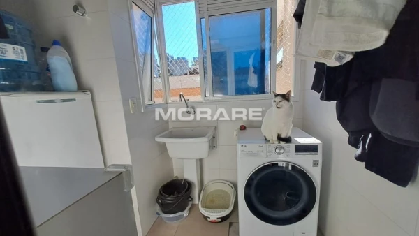 Foto de 