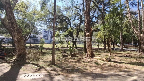 Foto de 