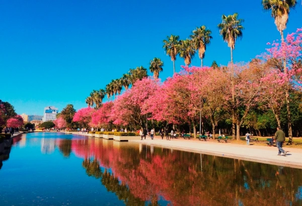 Imagem do post Porto Alegre e os bairros que revelam como a cidade pensa